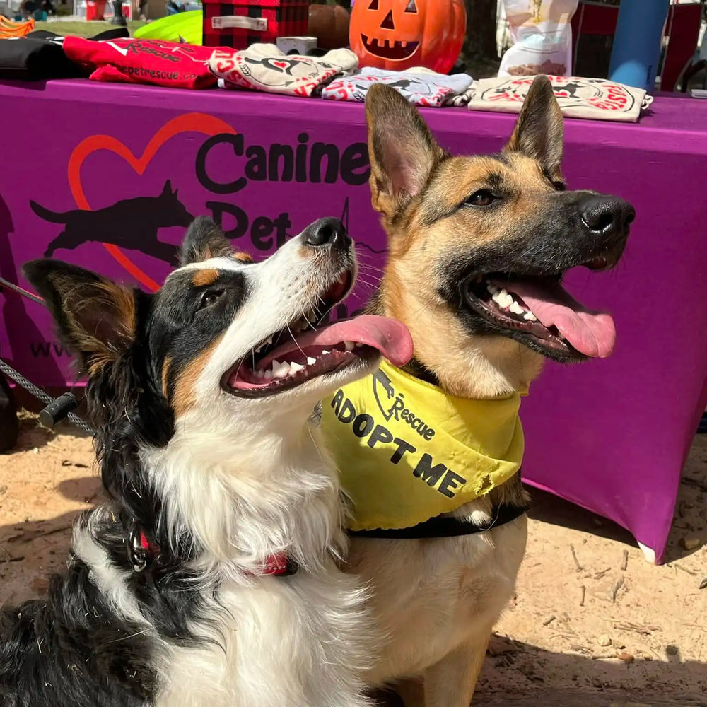 Canine Pet Rescue